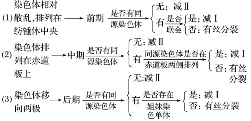双色球走势图带坐标分析