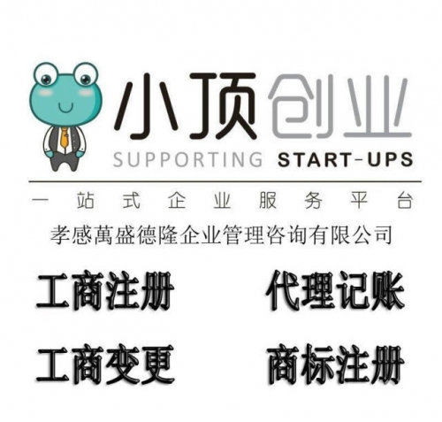 呱呱网络科技有限公司呱呱网，探索网络世界的奇妙之旅-第1张图片