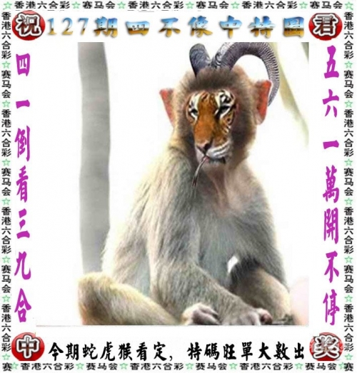 2020澳门今晚开什么特马开2020澳门今晚开什么特马揭秘