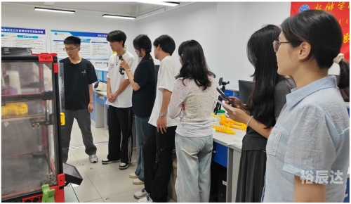 博直播，直播新时代的探索与实践-第2张图片
