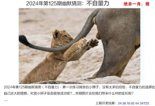 管家婆四肖八码免费期期准料管家婆四肖八码期期稳准，精准预测的智慧管家