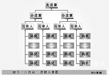 彩库宝典官方正式版彩库宝典，解锁数字时代的宝藏库-第1张图片