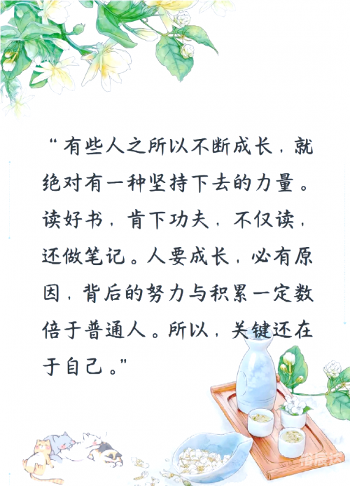 要看书网要看书网，阅读新世界的璀璨星辰-第2张图片