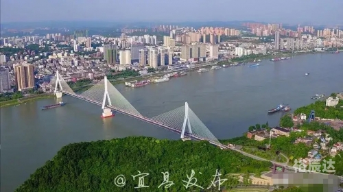 最准一肖一码一一子中特7955，揭秘彩票预测与号码分析