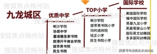 香港6合宝典图片香港6合宝典，香港金投资指南-第1张图片