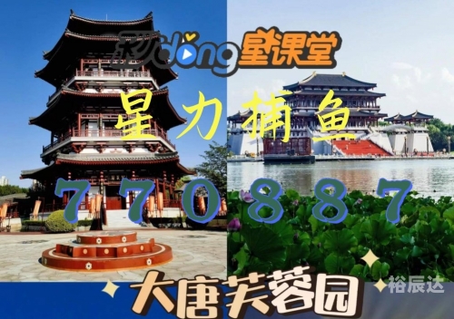 星力正版，正版之选-第1张图片