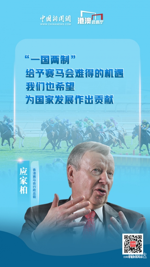 二手赛马市场热潮，探索与机遇-第1张图片