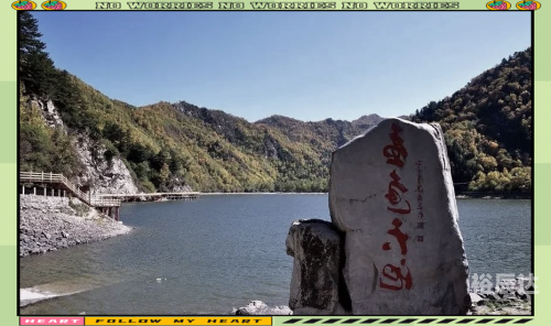 固原呱呱网，探索网络新纪元-第1张图片