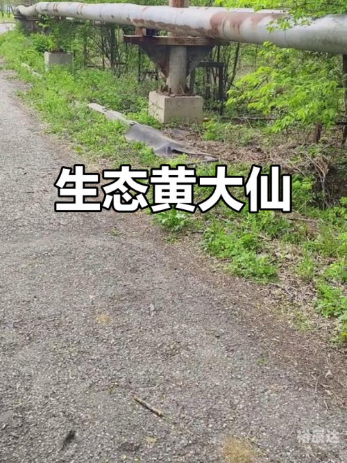 黄大仙救世网资料黄大仙救世网，探索网络资源中的神秘力量-第2张图片