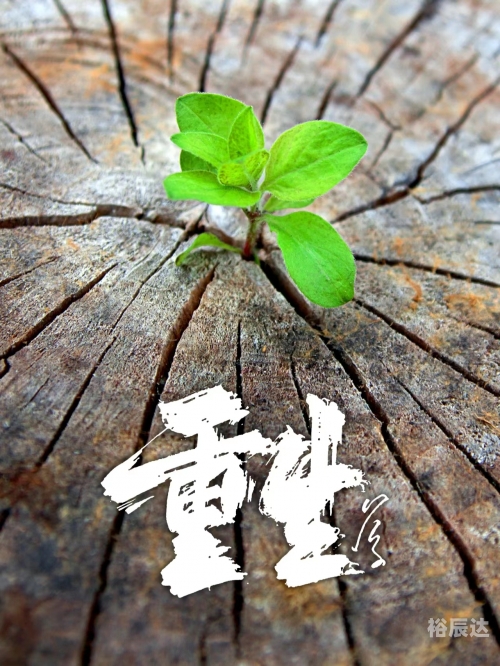 天外天天外天，探索未知的世界-第1张图片