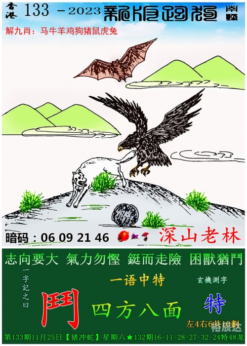 2023澳门开奖结果查询，揭秘幸运时刻