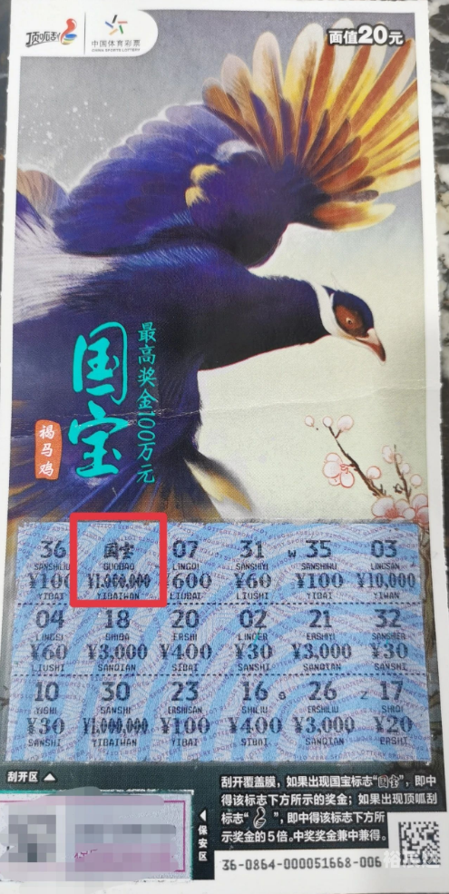 赢彩彩票赢彩彩票，探索彩票之路-第2张图片