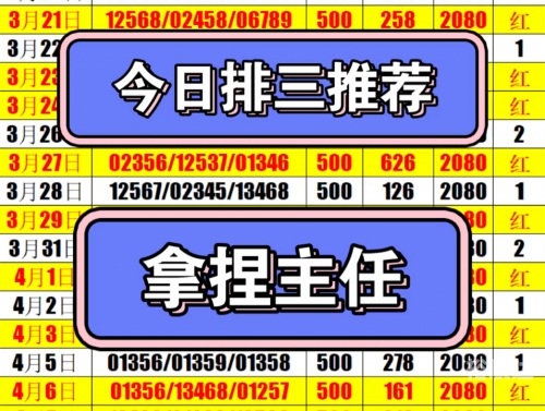 2码出特，精准预测与策略-第1张图片