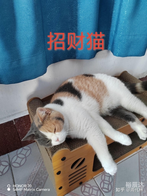 178彩票网探索178彩票网，彩票投注的新选择-第3张图片