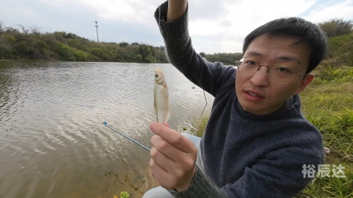 小鱼儿心水论纭13723小鱼儿心水论坛，探索网络世界的魅力-第2张图片