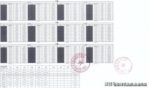 华人城官方网站发布华人城官方网站发布，引领华人社区新篇章-第1张图片