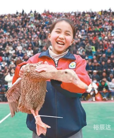 2022澳门今晚开特马+开奖结果那种鸭子最好吃澳门今晚开特马盛况揭晓