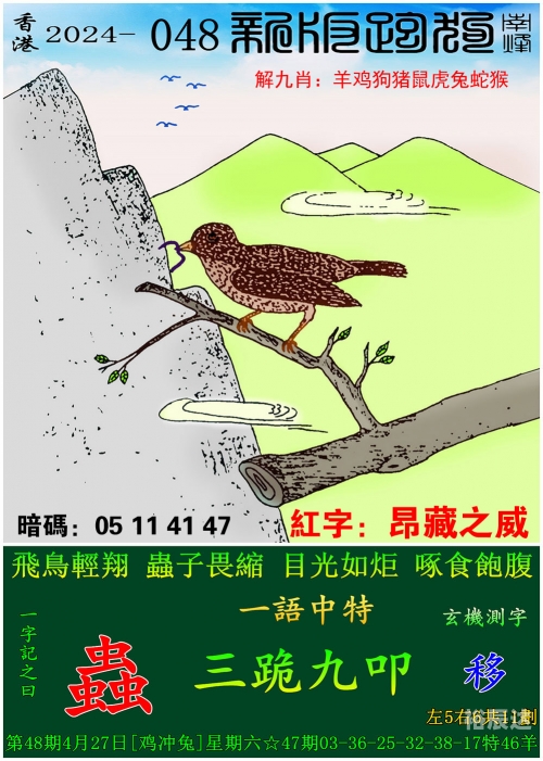 澳门管家婆一码一肖，中特之视角