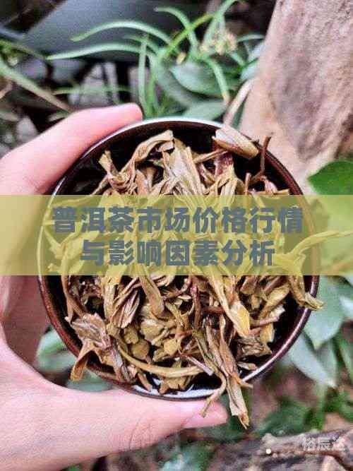 茶叶市场行情怎么样茶叶市场行情分析