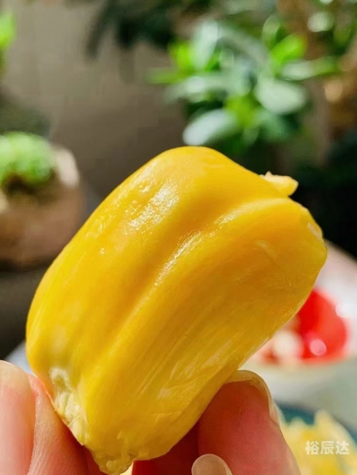 菠萝菠萝蜜手机网菠萝菠萝蜜手机网，探索科技新世界-第2张图片
