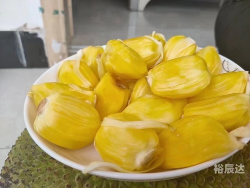 菠萝菠萝蜜手机网菠萝菠萝蜜手机网，探索科技新世界