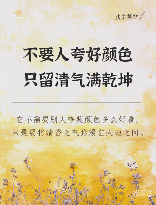 三九天劫三九天劫，寒冬中的挑战与成长