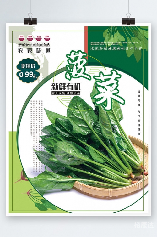 菠菜网haobc菠菜网HAOBC，引领绿色生活的新窗口-第1张图片