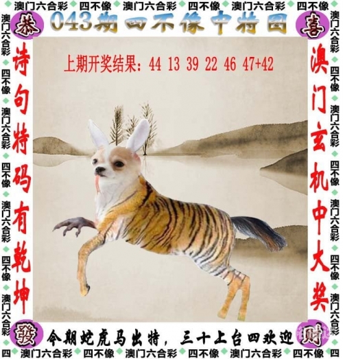 金光佛论坛新开奖结果今天金光佛论坛，探寻佛法智慧与心灵成长