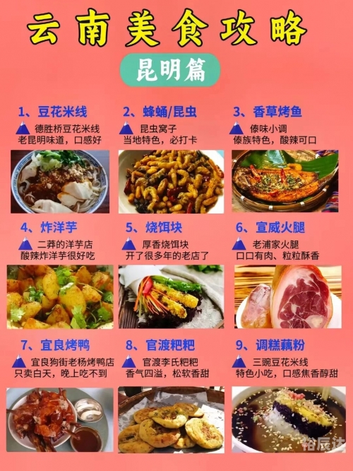 大连打滚子免费版下载手机版大连打滚子，美食之旅的独特体验