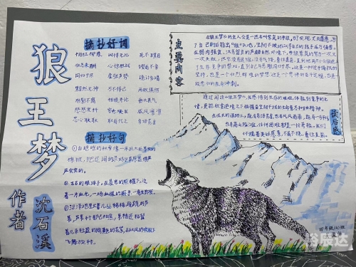 狼王梦在线阅读