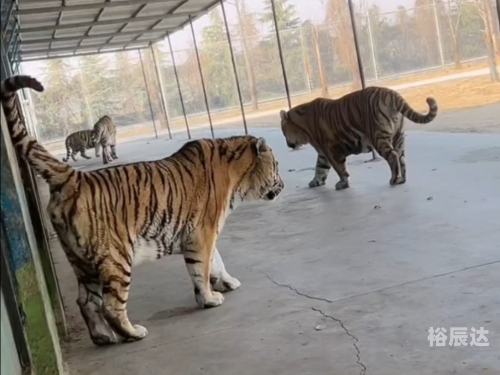 三脚猫博客三脚猫论坛，探索网络交流的新天地