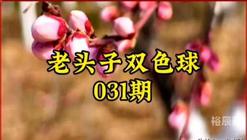 下期预测最准确双色球号码下期预测最准确