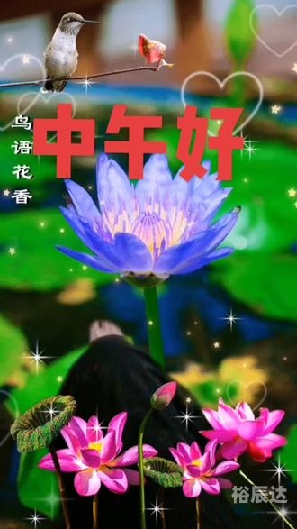 365每一天论坛365每一天论坛，探索无限可能-第1张图片