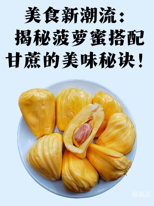 菠萝蜜官网，探索健康与美味的完美结合