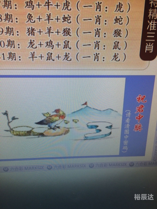 三肖期期淮，预测与策略-第2张图片