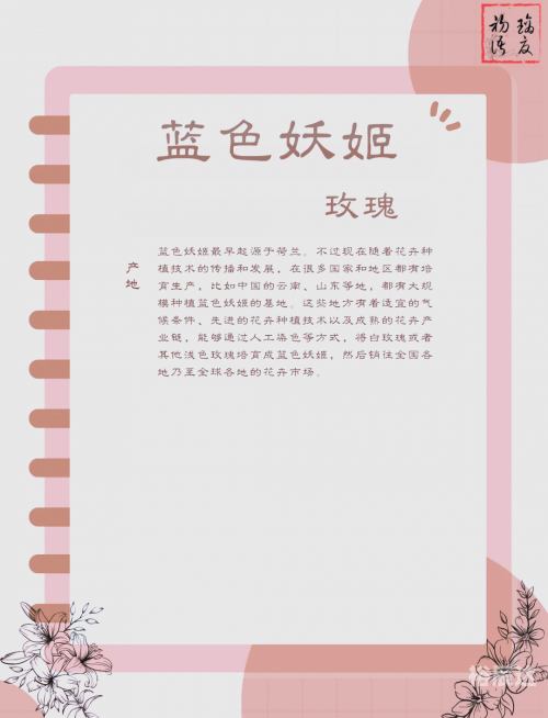 蓝色妖姬，神秘制作背后的秘密