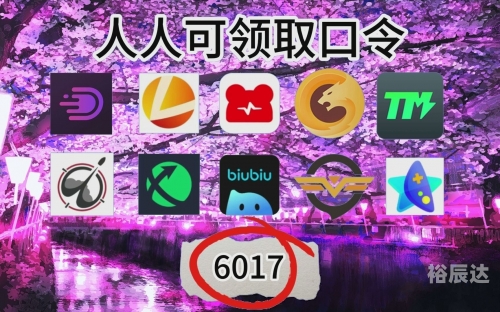 古怪加速器官网古怪加速器，探索未知的科技奇迹-第1张图片