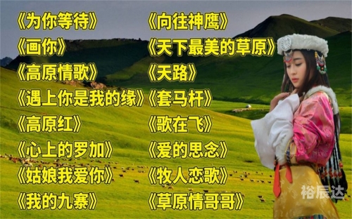 神鹰权威心水论坛，探寻权威与心水的交汇之地-第3张图片