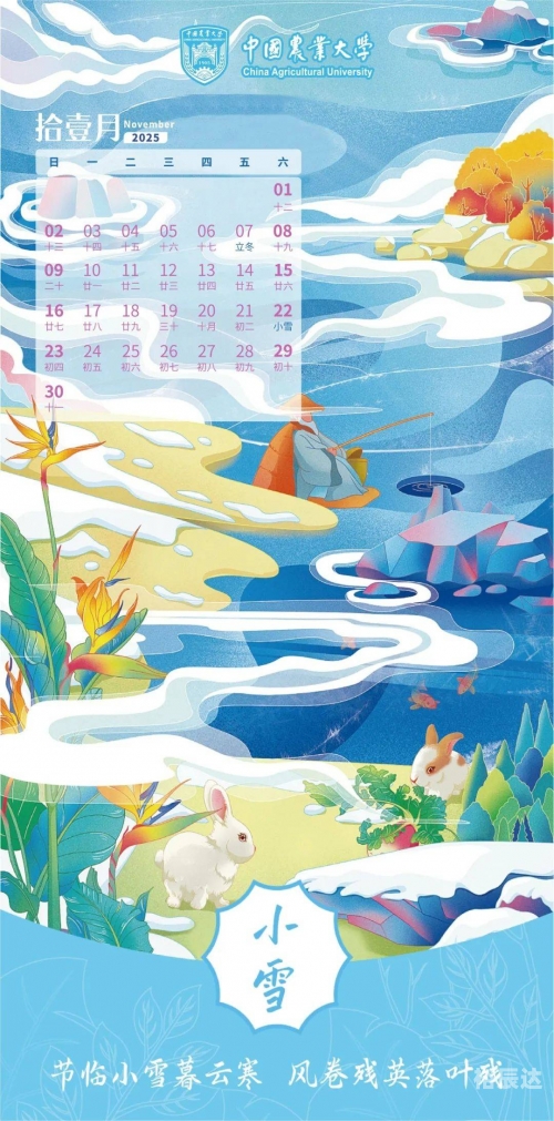 2009日历，回顾与展望-第2张图片