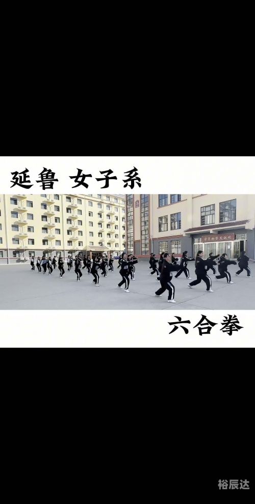 六合拳彩，传统武术的魅力与幸运-第3张图片