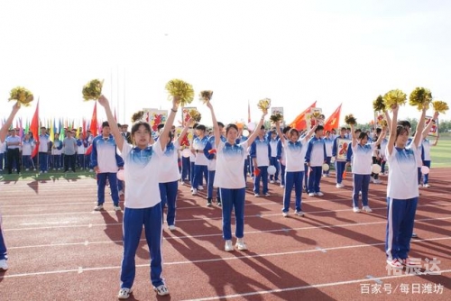 体育帝国官网，引领体育产业新纪元-第2张图片