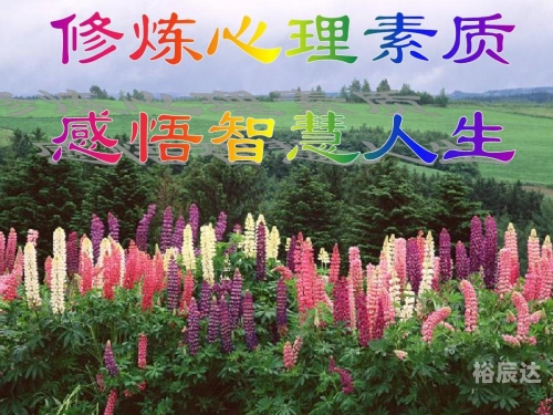 林晓芸林晓芸，自然之美与人生智慧