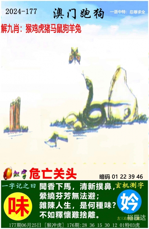 王中王555525.00论坛王中王论坛，揭秘最新优惠信息-第2张图片