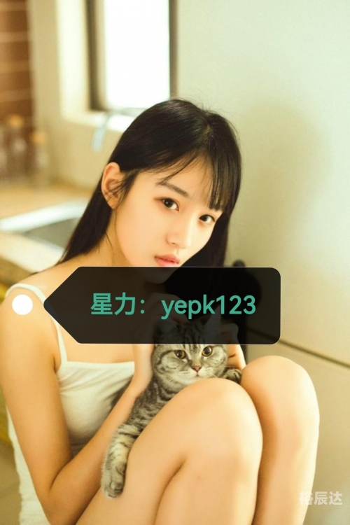 星力正版官网星力正版，正版之选
