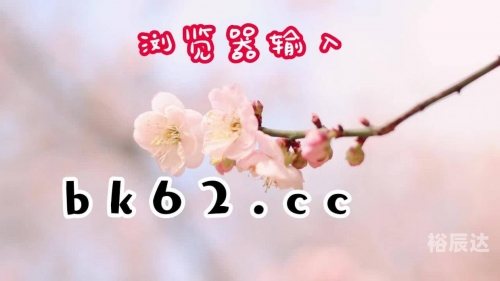 百家乐网络百家乐网络，风险与机遇并存