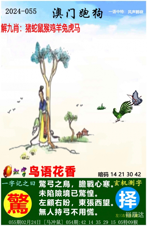 今晚开的什么特马今晚开的特马盛宴