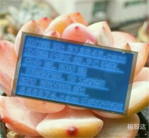 一肖一码100%的资料一肖一码，准确率100%的彩票预测-第2张图片