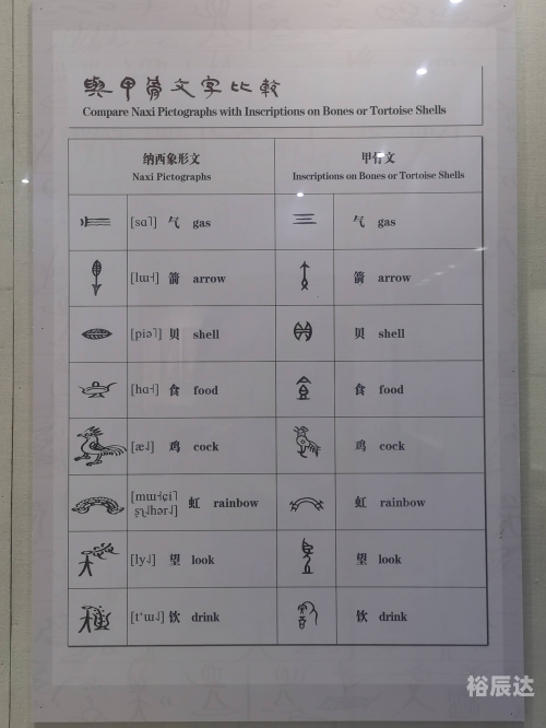 海南少数民族比例海南少数民族文化概览