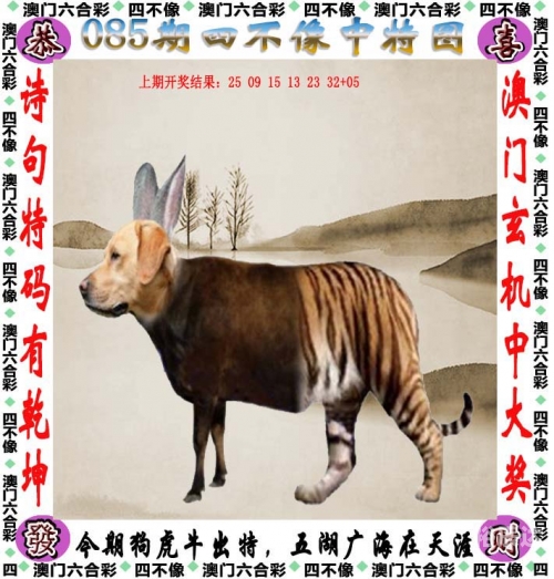 澳门王中王100%的资料澳门王中王100%资料-第3张图片