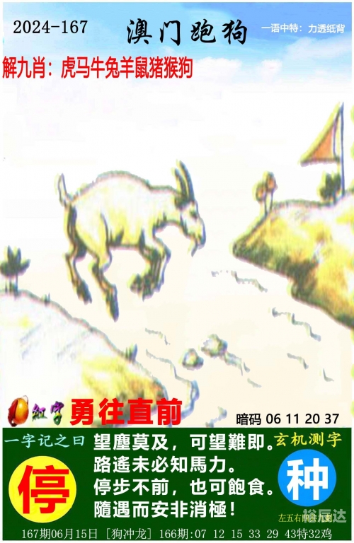 2024新奥历史开奖记录，香港篇-第3张图片